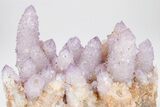 Cactus Quartz (Amethyst) Crystal Cluster - South Africa #207562-3
